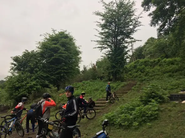 The Story of Getting Lost in The Forest…