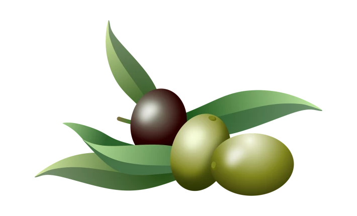 351665157-7bc547acde8f18f3413dc67891b97823a8c726053098a12ee2c2df2148bac835.png