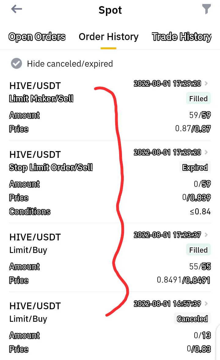 My Today Binance Order