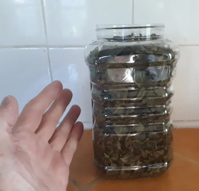 Dehydrated Kale