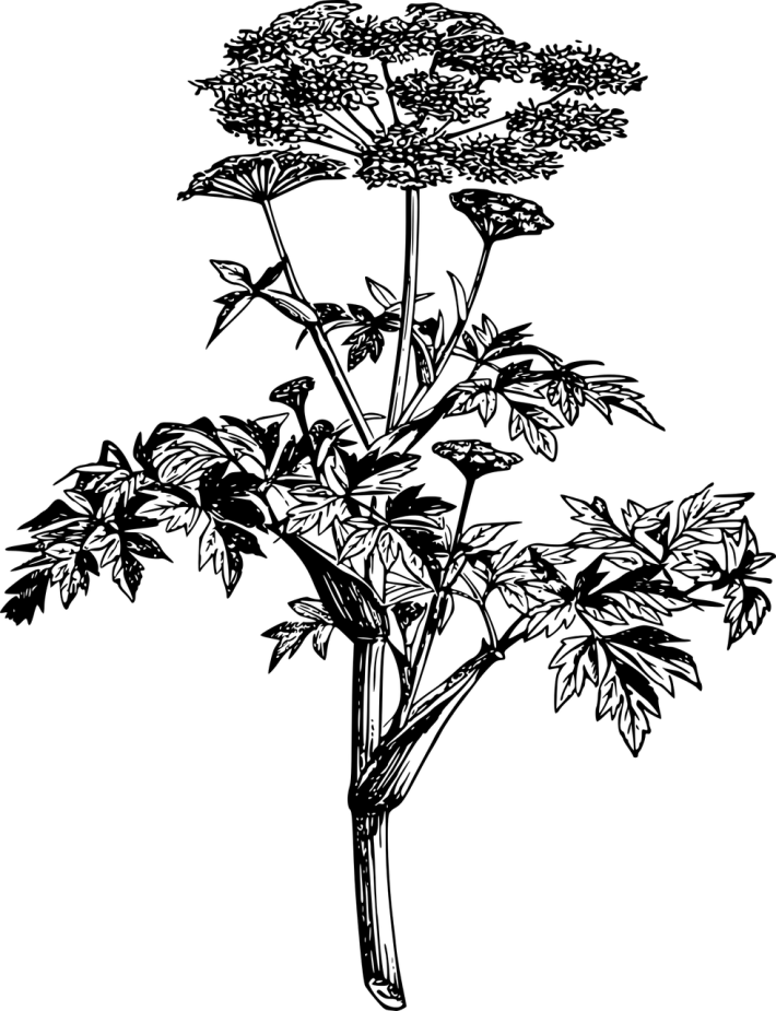 351665157-873bf7572c8f150542e034b72f20f39895d947bfb24cd2625ac8e46880bad7d8.png