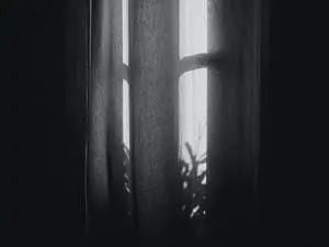0df07d5e48e8d993c13a3cc4a9da8cde90a953ca9415edace4f51e3eedd7b754.jpg