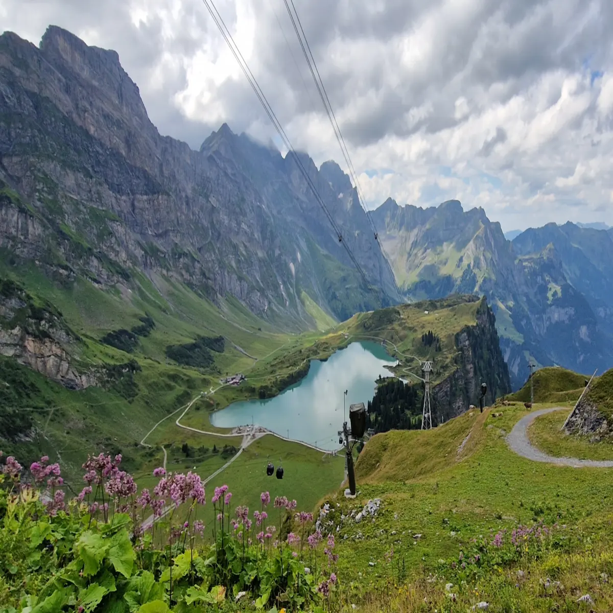 Flowers and lake