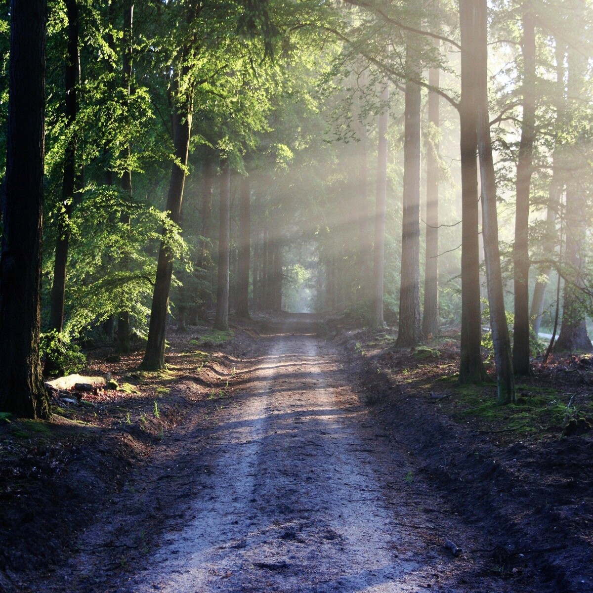 Certain skills lead into understanding a way of life