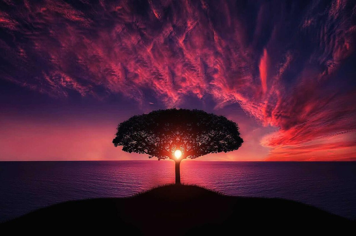 Many people will become confident over their own obstacle
