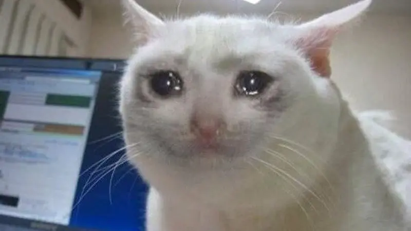 6a77ca793de5004059af4598d475c8213f346b808337ba2e07cc9f82033c9bfc.jpg