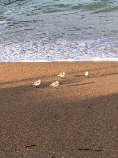 Relax ~ Breathe~ Take a walk !