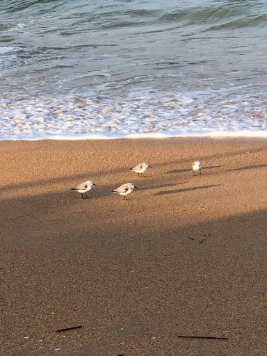 Relax ~ Breathe~ Take a walk !