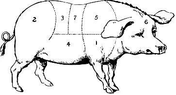 2b4c88517cff8668d44a631f51ba056e4925f71b1905dbe973453b1626213c66.png