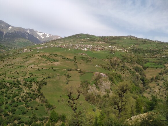 Mountain village of “Irbo” in Talesh- Iran - a scary run on the steep slope of greenery