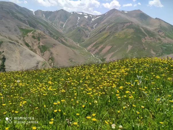 Mountain village of “Shekar Dasht” in Talesh- Iran – So So many Flowers