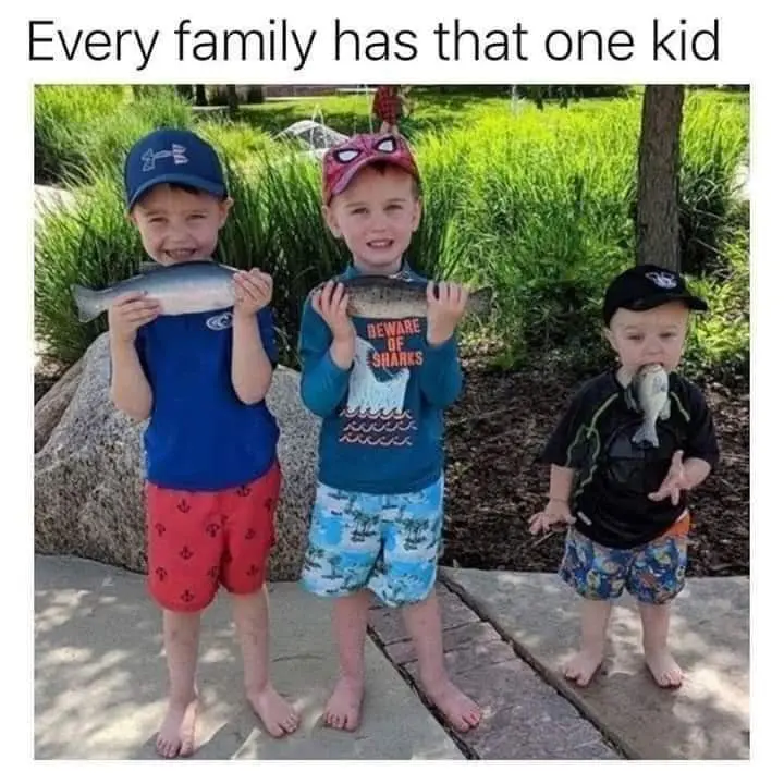 8ffcb886fc0448151846c2134ef85a2073ad268c78a3d850cf4ca3ad380f7e93.jpg