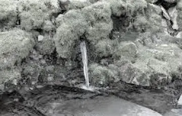 9caed7489ee79a6549f72ab5c16cfcebbcd1736792032bb259d8346938352b31.jpg
