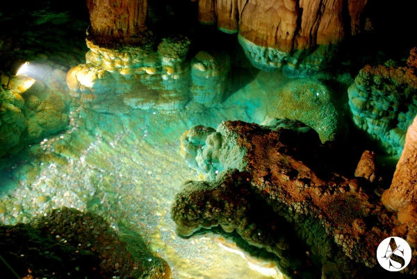 Wishing well