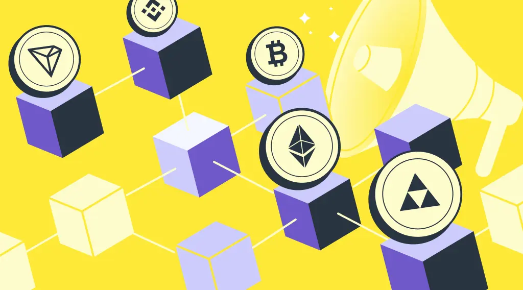 Different Types of Blockchain Networks Different Types of Blockchain Networks