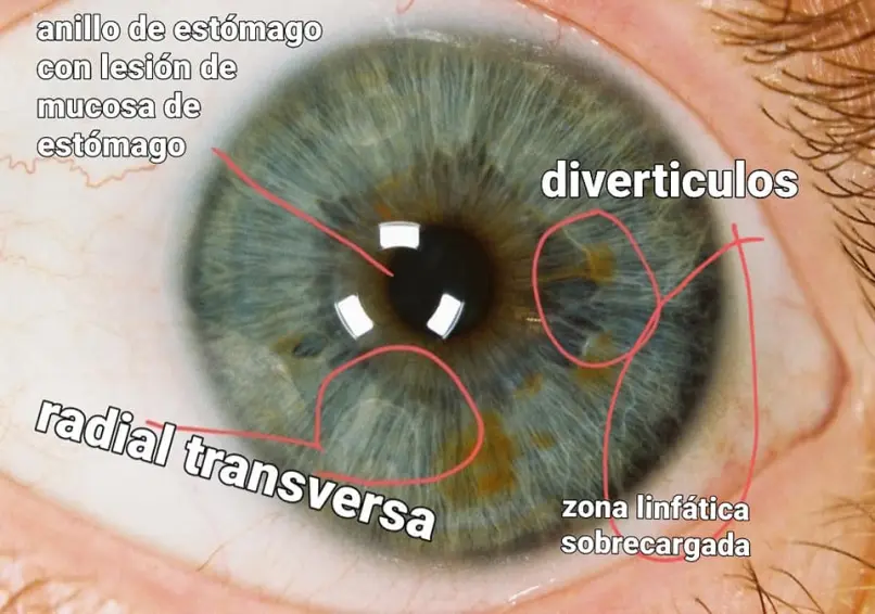 7aa5fef17ce978c71e0ec133cee8957c7e248d6c4c8dd4f0d14a9f41f521735e.jpg