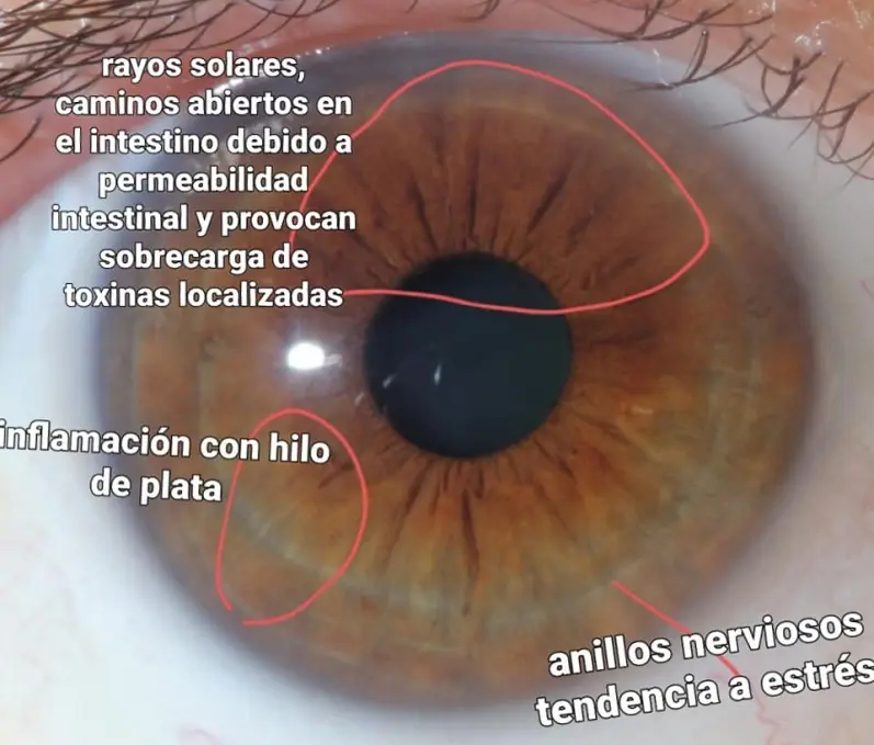 cbabd7a967cd0a031582f5b71a880348ec66c9e7547d459c5a42e13d3704edb8.jpg
