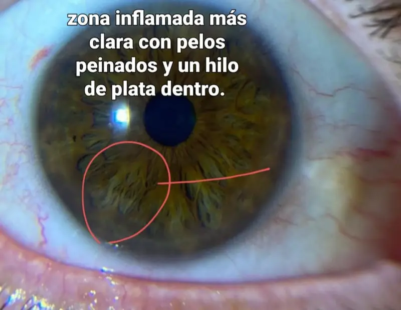 5b01d03f3050c1bde74fe15d248cfcf5a7cbc55de8210d44bfbc02aa3f8a300d.jpg