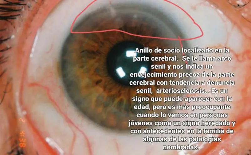 465a71176ccab3397f21d9a07fd820ebb74fcad3b45a893314aacccfd1fd0dcd.jpg