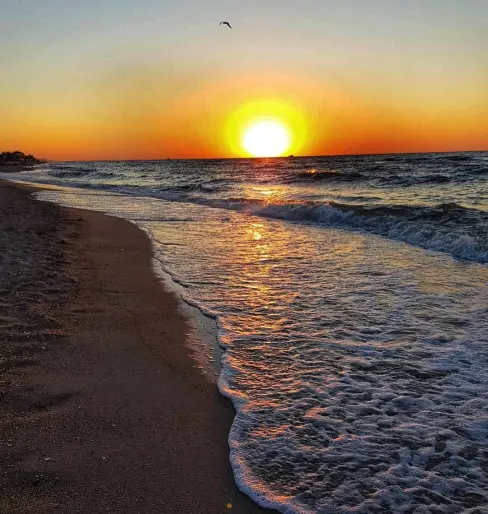 mobilography20