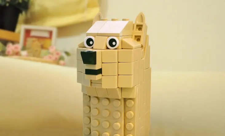 6646021de41a3e0f7989fa9a9f9e5440ce20e443489ad85f621a8050a10060e0.jpg