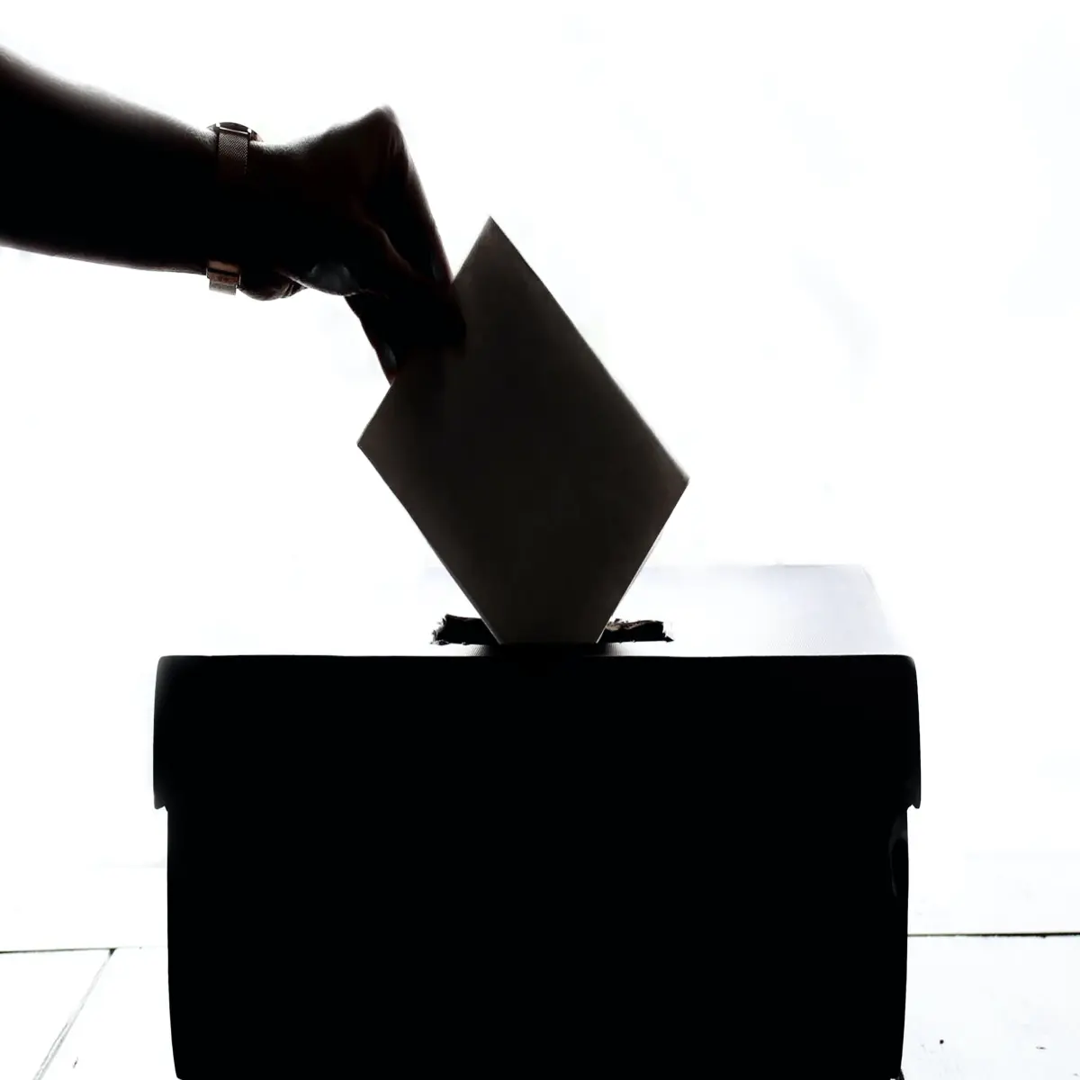 Useless Vote