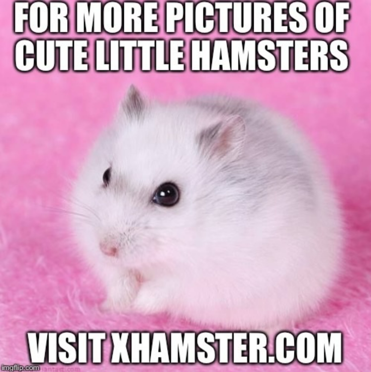 4d125badd77e2951cc081001a32e004c089bb127fe56d319d2c1a53647d92267.png