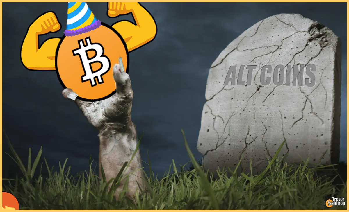 bitcoin ethereum BTC ETH crypto cryptocurrency trevor balthrop trevorbalthrop historical monthly data chart price prices markets bear bull bearish bullish blockchain NFT tokens VVS Finance vvs.finance miner mole moles molefam twitter youtube twitch instagram facebook trading meta dg pal dgp Play-2-earn gamefi