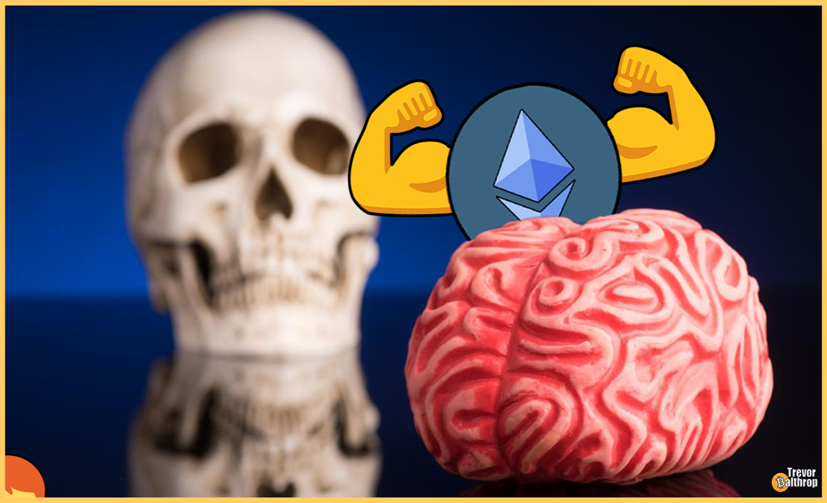 bitcoin ethereum BTC ETH crypto cryptocurrency trevor balthrop trevorbalthrop historical monthly data chart price prices markets bear bull bearish bullish blockchain NFT tokens VVS Finance vvs.finance miner mole moles molefam twitter youtube twitch instagram facebook trading meta dg pal dgp Play-2-earn gamefi