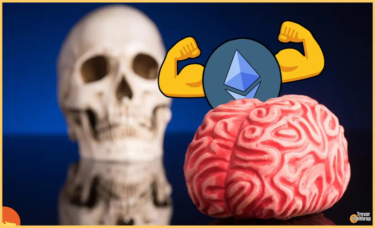 bitcoin ethereum BTC ETH crypto cryptocurrency trevor balthrop trevorbalthrop historical monthly data chart price prices markets bear bull bearish bullish blockchain NFT tokens VVS Finance vvs.finance miner mole moles molefam twitter youtube twitch instagram facebook trading meta dg pal dgp Play-2-earn gamefi