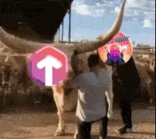 BULLISH on XTM