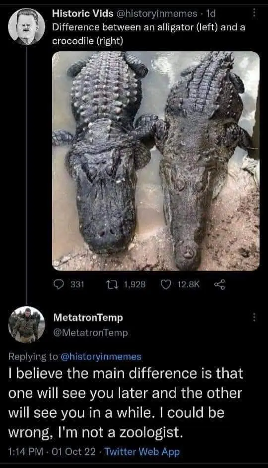 a0b1b0048f325f8a545535150e2575ea33e664ccd90a31801ad437d3666f2e2b.jpg
