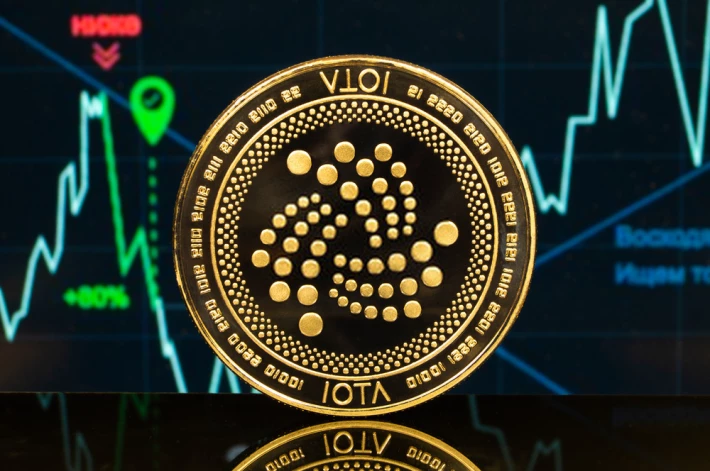 iota crypto future
