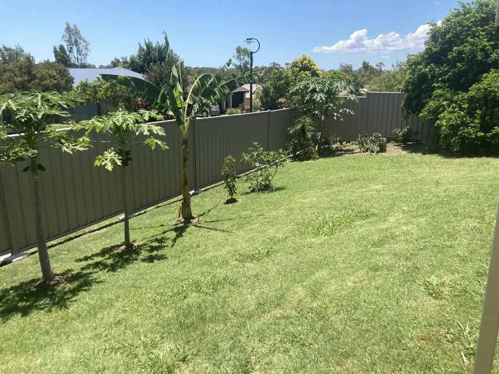 Our very productive, healthy and varied plants house garden in Australia