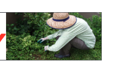 Gardener PPE