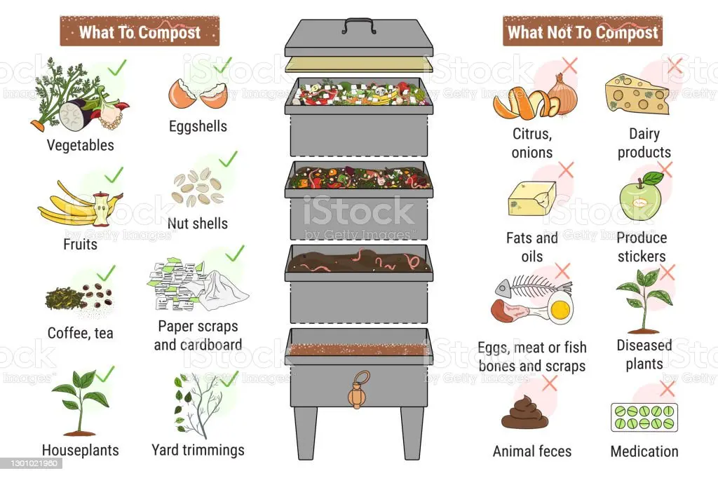 Compost and Worm Farm
