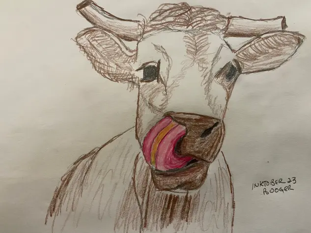 Cow sticking its tongue up its nostril - colored pencil