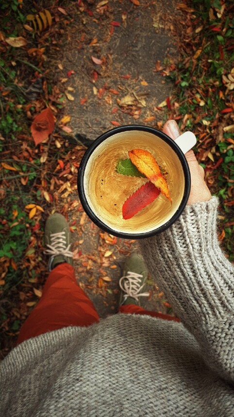 The comfort of autumn. The best photo work according to TopContent