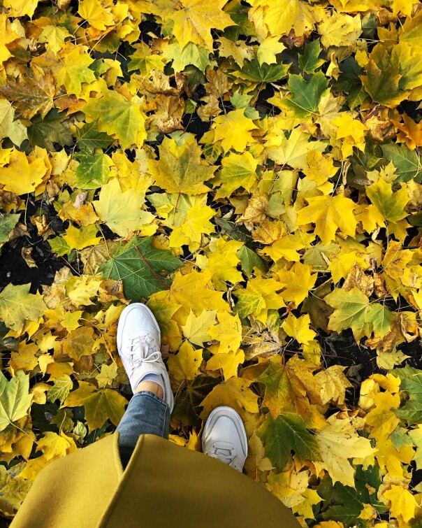 Clean ponds. Autumn mood. Oksana Mironova