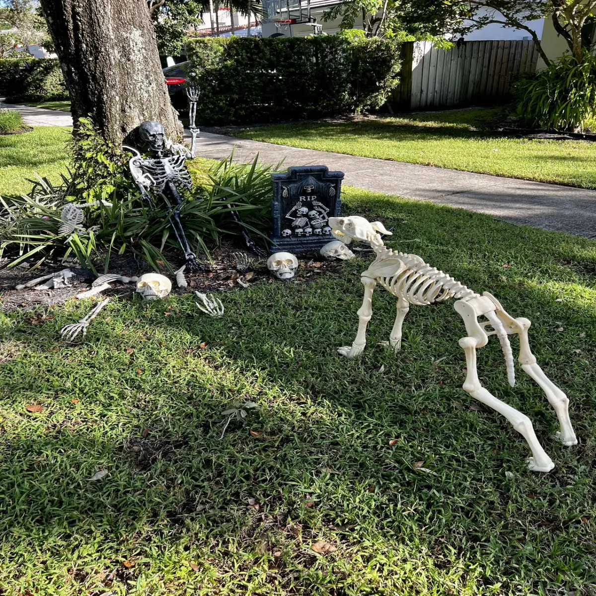 Halloween in America - 2022.