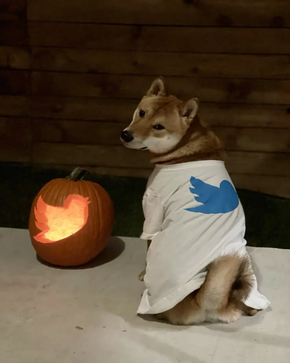 56a61125bd32648e1d368c4c4edeed4d8fdb254ec38b15e277e27c96f7dd77aa.png