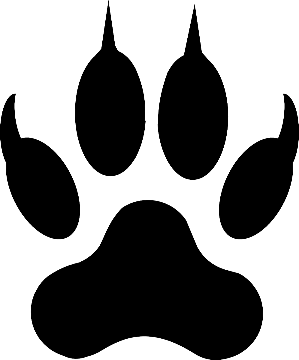 da34eb9e739812df590a2b50197f161be914d352e977022937607989958f2a28.png