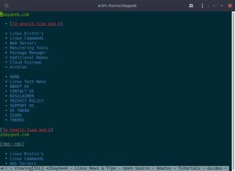 screenshot of w3m accessing/rendering daygeek.com