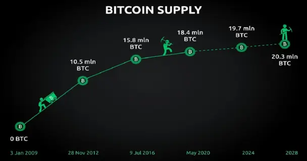 d428f7339e9ca6f68e5f52292e1404b4fd4eef8d5d71bb4087d410a62d11cd07.jpg
