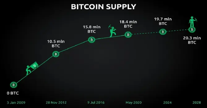 d428f7339e9ca6f68e5f52292e1404b4fd4eef8d5d71bb4087d410a62d11cd07.jpg
