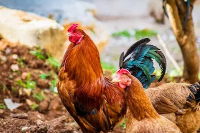 7581f87851f6b5b8524d7a5a8d7e20914515a0ac4b88ae065df7d1bd01e376f9.jpg