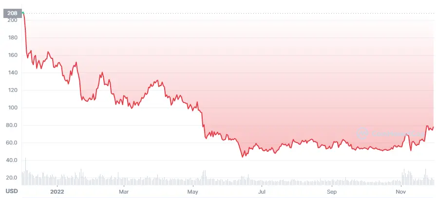LTC Year