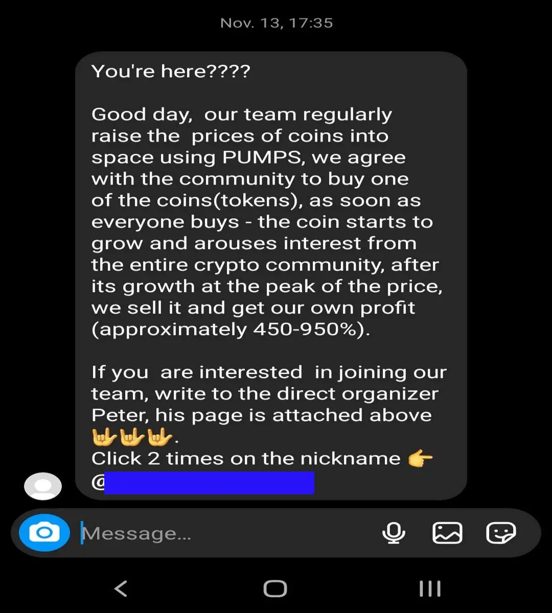 Screenshot of Instagram spam message promoting a pump and dump scheme.