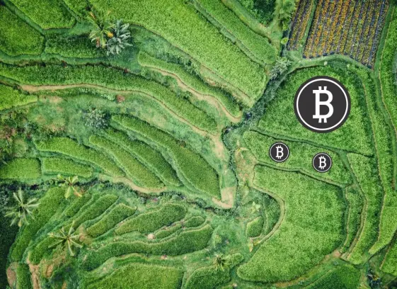 This is BTC Garden, one of my keys to passive crypto income.