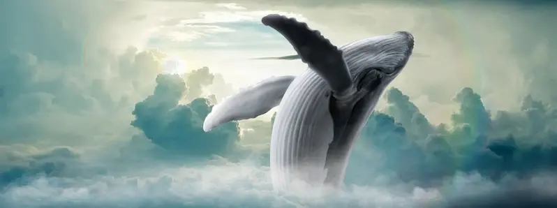 Whale